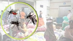 ডেঙ্গুতে এক দিনে ১০ মৃত্যু