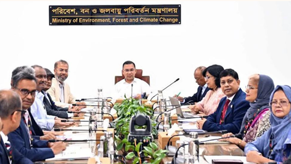 পরিবেশ রক্ষায় সবাইকে এগিয়ে আসার আহ্বান প্রধানমন্ত্রীর